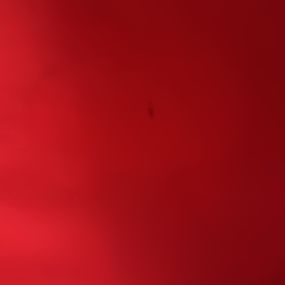 Victoria's Secret Limited Edition 2019 Large Red Floral Rose Tote Bag - Picture 6 of 14